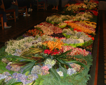 ChristChurch Cathedral Floral Carpet 2007