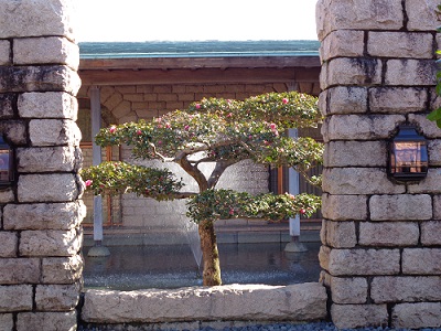 ���̃q���g